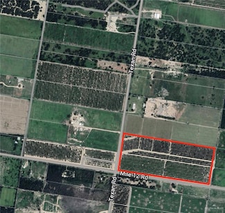 01 Texan Rd, Palmview, TX 78574