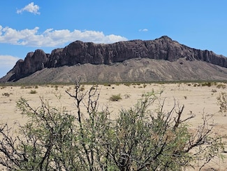 G160 Spock Rd, Terlingua, TX 79852