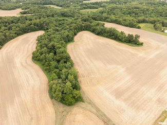 000 W Todd School Rd, Glasford, IL 61533