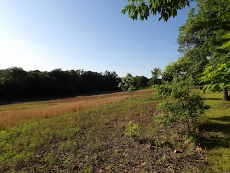 000 W Ivy Rd, Oronogo, MO 64855