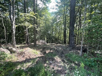 00 Kennedy Brook Dr Unit 11, Stoddard, NH 03464