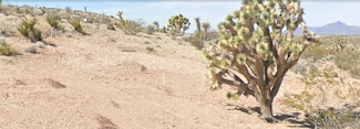 29779 N Driftwood Dr, Meadview, AZ 86444