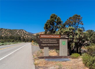 2184 Oak Springs Valley Rd, Wrightwood, CA 92397