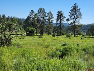 X Catchpole Dr, Pagosa Springs, CO 81147