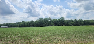 16839 Scipio Rd, Harlan, IN 46743