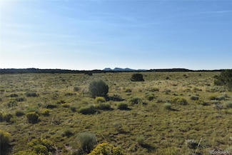 000 Lizard Ln Unit 146, Gardner, CO 81040