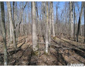 00 Hungry Lake Rd, Weyerhaeuser, WI 54895