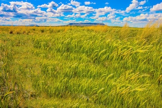 tract 19 Old Ulm Casacde Rd, Cascade, MT 59421
