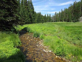 TBD Hensley Creek, White Sulphur Springs, MT 59645