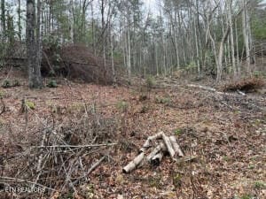 0 Coy Rhea Way, Sevierville, TN 37876