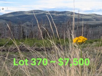 370 Soubry Place, Fort Garland, CO 81133