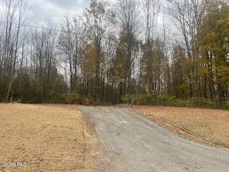 L37.3 B Corbin Hill Rd, Sprakers, NY 12166