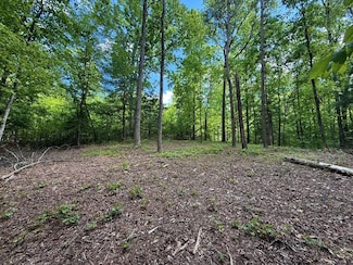 164 Reindeer Ln, Talking Rock, GA 30175
