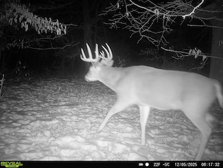 TBD 294th, Meadow Township, MN 56477