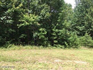 0 Crest View Dr Unit 1276070, Sunbright, TN 37872