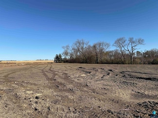 0 Dakota Ave, Lake View Township, SD 57042