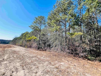 0 Pond Branch Rd Unit 599057, Leesville, SC 29070