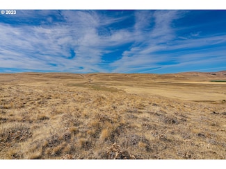 1602 Centerville Hwy, Centerville, WA 98613