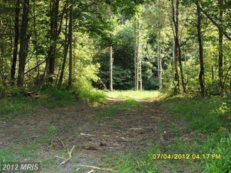 0 Liberty Ln Unit 1004069322, Madison, VA 22727