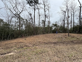 LOT 69 Wildwood Harbor Cir, Onalaska, TX 77360
