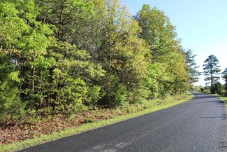 0 Buffalo Rd Unit 3 39911, Dillwyn, VA 23936