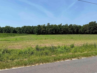 TBD Highway 668, Conway, SC 29526