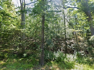 October Ln, Augusta, WV 26704