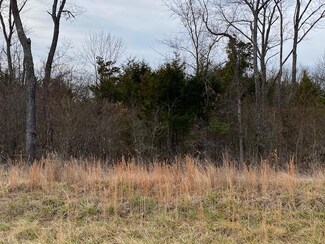 Lot 2 Harp Ln, Kirbyville, MO 65679