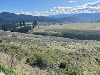 0 Lot 42 Pointe Dr, Oroville, WA 98844