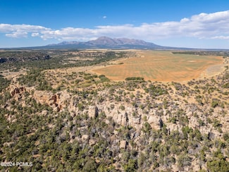 0 E Long Point Rd, Monticello, UT 84511