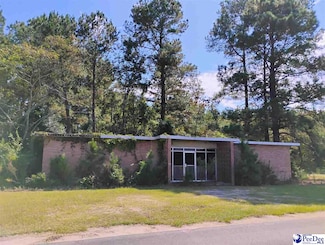 TBD U S Route 52, Coward, SC 29560