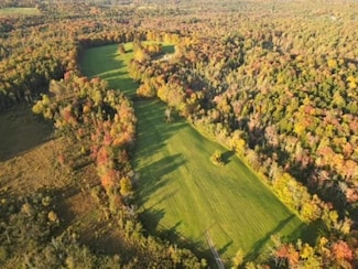 11556 Potato Hill Rd, Boonville, NY 13309