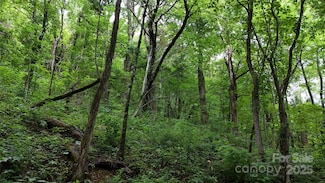 00 Killdevil Hill Ln Unit 9 & 10, Bat Cave, NC 28792