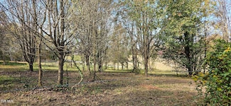 LOT 3 Fishpond Rd, Chuckey, TN 37641
