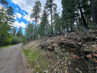 1106 Blanca Vista Way Unit 89-A, Cloudcroft, NM 88317