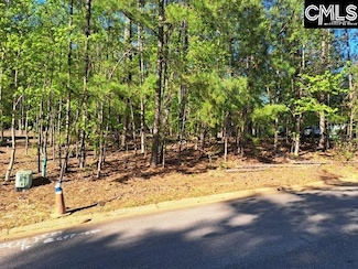 512 Links Pointe Ct, Chapin, SC 29036