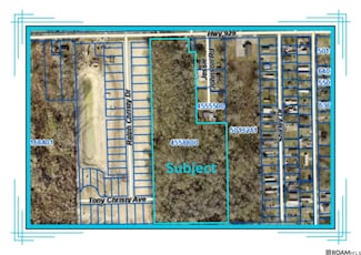 39165 La Hwy 929, Prairieville, LA 70769