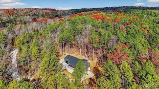 10320 Crestwood Rd, Potosi, MO 63664