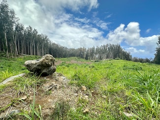 0 Cane Haul Rd, Honokaa, HI 96727