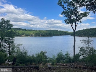 0 Southwood Dr - Lakefront Unit VAFV2034408, Cross Junction, VA 22625