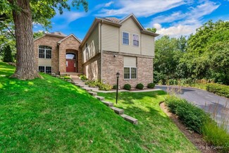 1026 Beau Brummel Dr, Sleepy Hollow, IL 60118