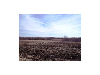 0 146 Hwy Unit 1766108, Gilman City, MO 64642