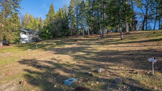 297 Forest Meadows Dr, Murphys, CA 95247