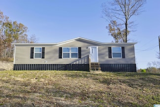 10 Charity Cir, Piedmont, AL 36272