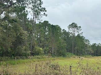 0 Settlers Loop Unit MFRO6364363, Geneva, FL 32732
