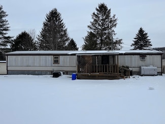 314 Mc Dermott Ave, White Sulphur Springs, WV 24986