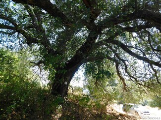 15.49 ac Engineers Rd, Julian, CA 92036
