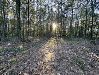 1764 Lavender Rd, Gilmer, TX 75644