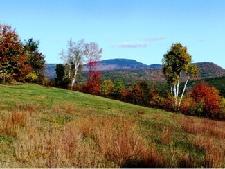 68 Old Pumpkin Hill Rd, Warner, NH 03278