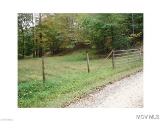 0 Lost Run Unit M238653, Ellenboro, WV 26346